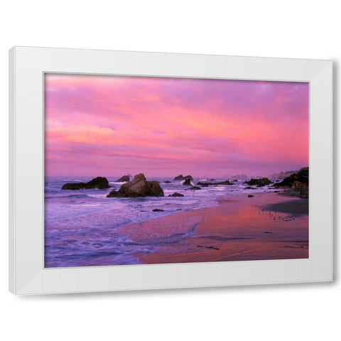 OR, Harris State Beach Sea stacks at dawn White Modern Wood Framed Art Print by Welling, Dave