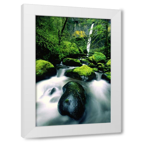 OR, Columbia Gorge Elowah Falls and boulders White Modern Wood Framed Art Print by Welling, Dave