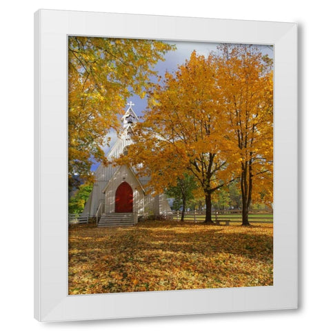 OR, Cove Ascension Chapel surrounded by autumn White Modern Wood Framed Art Print by Terrill, Steve