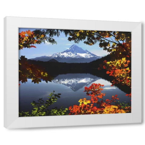 OR, Mt Hood NF Mt Hood from Lost Lake in fall White Modern Wood Framed Art Print by Terrill, Steve