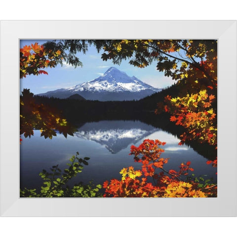 OR, Mt Hood NF Mt Hood from Lost Lake in fall White Modern Wood Framed Art Print by Terrill, Steve