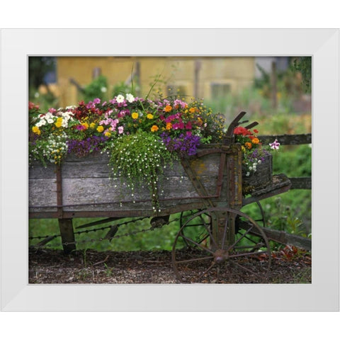 OR, Portland Farm spreader filled with flowers White Modern Wood Framed Art Print by Terrill, Steve