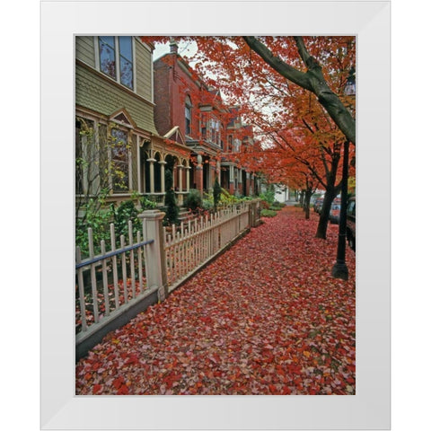 OR, Portland Autumn leaves litter sidewalk White Modern Wood Framed Art Print by Terrill, Steve
