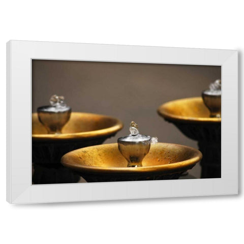 OR, Portland Benson Bubblers in downtown White Modern Wood Framed Art Print by Terrill, Steve