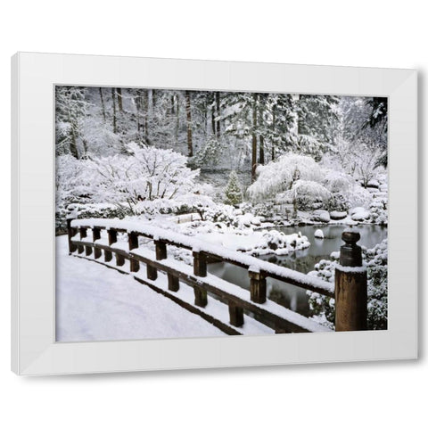 Oregon, Portland Winter snowfall in a Garden White Modern Wood Framed Art Print by Terrill, Steve