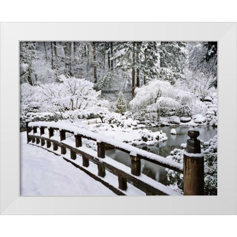 Oregon, Portland Winter snowfall in a Garden White Modern Wood Framed Art Print by Terrill, Steve