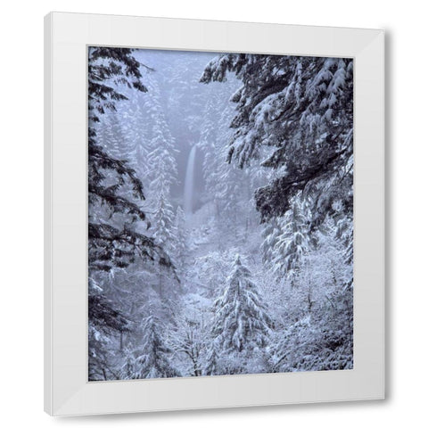 Oregon, Silver Falls North Falls in winter snow White Modern Wood Framed Art Print by Terrill, Steve