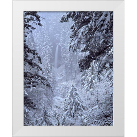 Oregon, Silver Falls North Falls in winter snow White Modern Wood Framed Art Print by Terrill, Steve