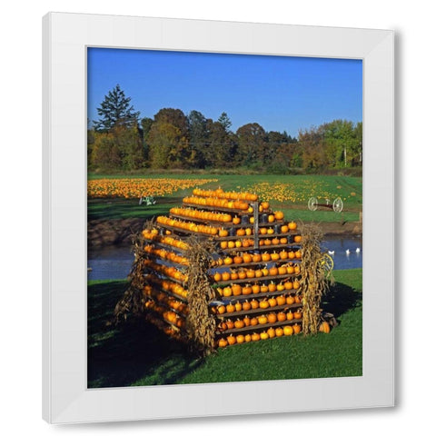 OR, Willamette Valley House made of pumpkins White Modern Wood Framed Art Print by Terrill, Steve