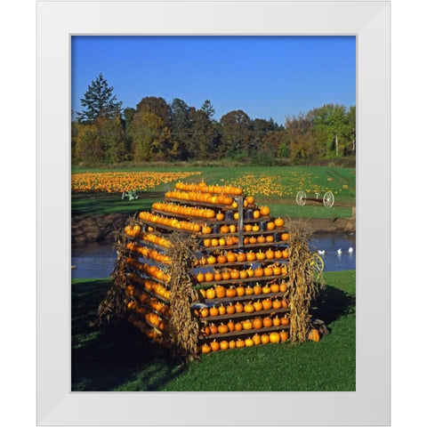 OR, Willamette Valley House made of pumpkins White Modern Wood Framed Art Print by Terrill, Steve