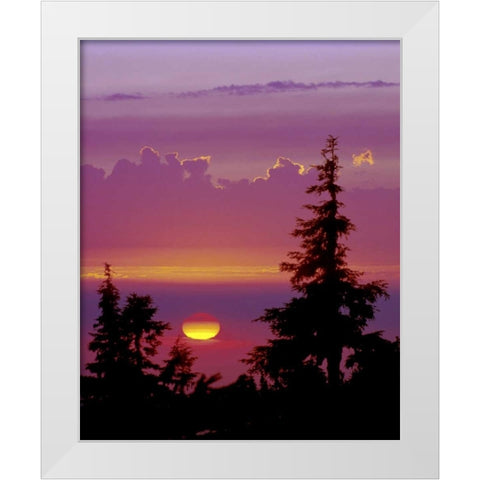 Oregon, Mt Hood Pine trees silhouetted by sunset White Modern Wood Framed Art Print by Kelley, David