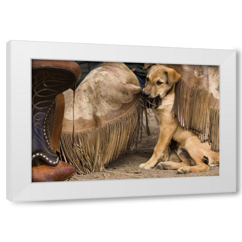 OR, Seneca A puppy chewing cowboys chaps White Modern Wood Framed Art Print by Kaveney, Wendy