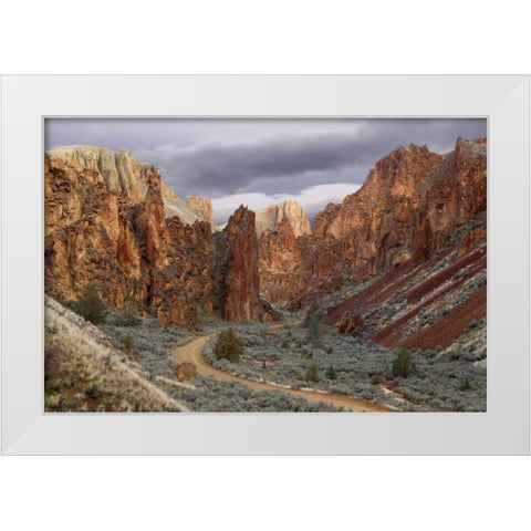 USA, Oregon View of Leslie Gulch White Modern Wood Framed Art Print by Paulson, Don