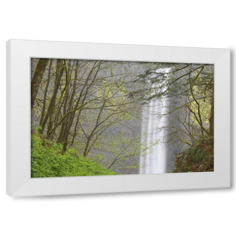 OR, Columbia River Gorge View of Latourell Falls White Modern Wood Framed Art Print by Paulson, Don