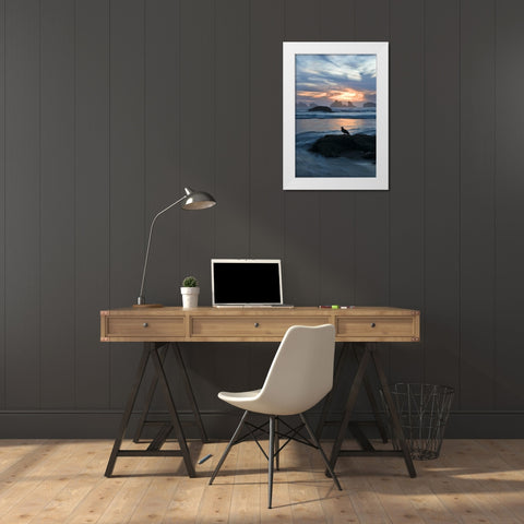 OR, Bandon Beach Seagull silhouette at sunset White Modern Wood Framed Art Print by Rotenberg, Nancy