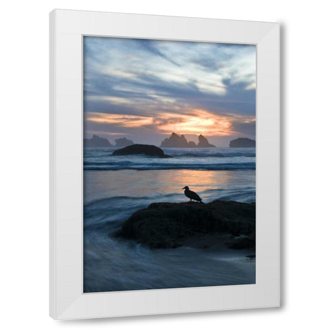 OR, Bandon Beach Seagull silhouette at sunset White Modern Wood Framed Art Print by Rotenberg, Nancy