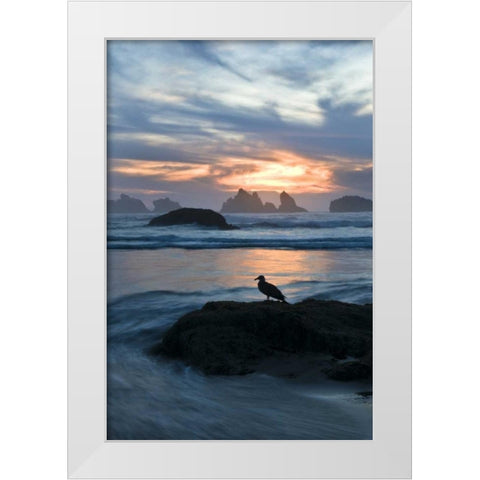 OR, Bandon Beach Seagull silhouette at sunset White Modern Wood Framed Art Print by Rotenberg, Nancy