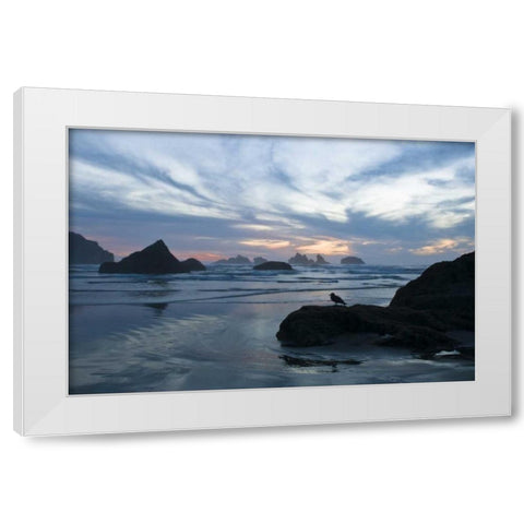 OR, Bandon Beach Seagull silhouette at sunset White Modern Wood Framed Art Print by Rotenberg, Nancy