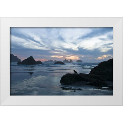 OR, Bandon Beach Seagull silhouette at sunset White Modern Wood Framed Art Print by Rotenberg, Nancy