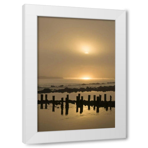 USA, Oregon, Bandon Sunrise on foggy coastline White Modern Wood Framed Art Print by Rotenberg, Nancy