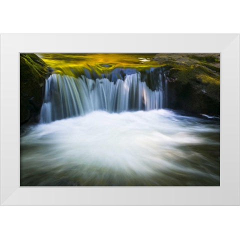 Oregon Reflections in waterfall on Sweet Creek White Modern Wood Framed Art Print by Rotenberg, Nancy