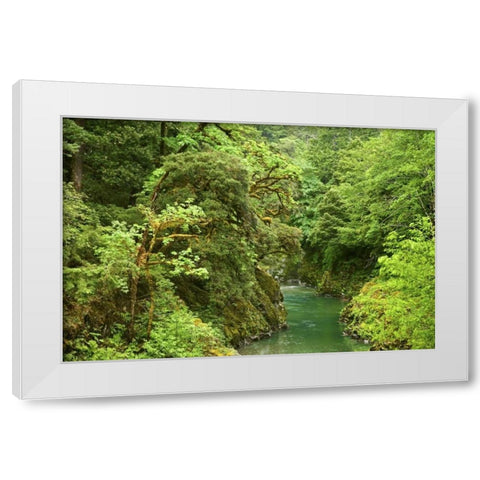 USA, Oregon, Elk River White Modern Wood Framed Art Print by Paulson, Don