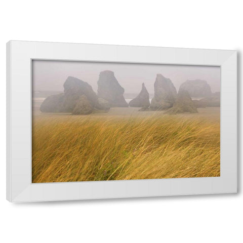 OR, Bandon Dune grass and seastacks in fog White Modern Wood Framed Art Print by Paulson, Don