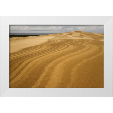 OR, Siuslaw NF, Umpqua Dunes Patterns in dunes White Modern Wood Framed Art Print by Paulson, Don