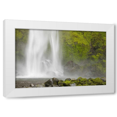 Oregon, Columbia River Gorge Elowah Falls White Modern Wood Framed Art Print by Paulson, Don