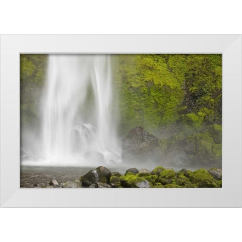 Oregon, Columbia River Gorge Elowah Falls White Modern Wood Framed Art Print by Paulson, Don