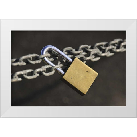 Oregon, Portland Close-up of padlock on chain White Modern Wood Framed Art Print by Terrill, Steve