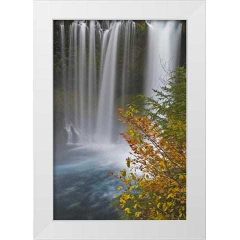 OR, Willamette NF Koosah Falls White Modern Wood Framed Art Print by Paulson, Don