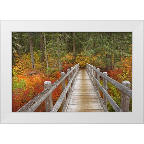 OR, Willamette  Bridge on McKenzie River Trail White Modern Wood Framed Art Print by Paulson, Don