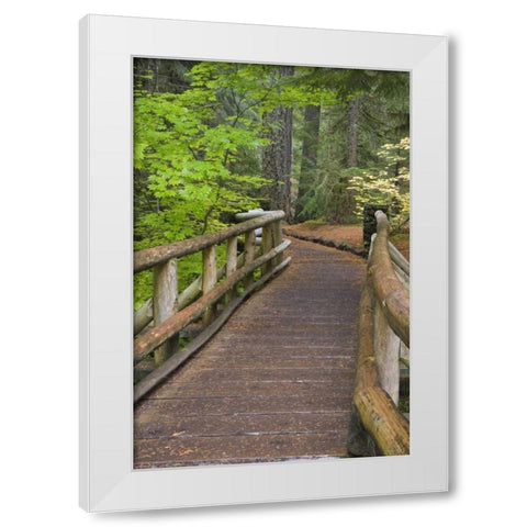 OR, Willamette NF Wooden foot bridge White Modern Wood Framed Art Print by Paulson, Don