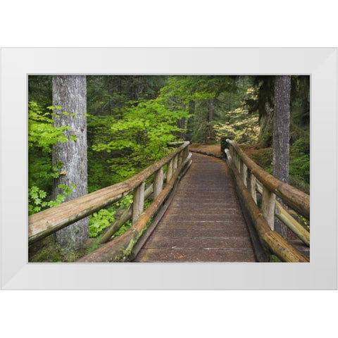 OR, Willamette NF Wooden foot bridge White Modern Wood Framed Art Print by Paulson, Don