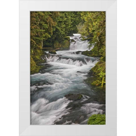 Oregon, Willamette NF McKenzie River rapids White Modern Wood Framed Art Print by Paulson, Don