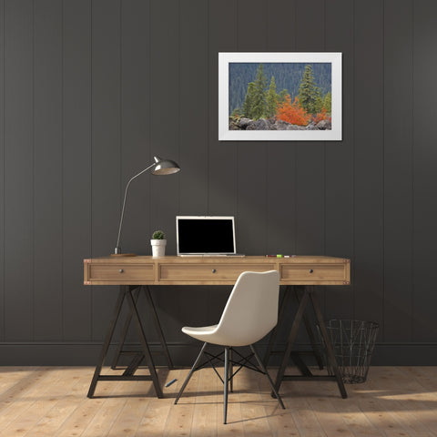 Oregon, Willamette NF Volcanic rock in forest White Modern Wood Framed Art Print by Paulson, Don