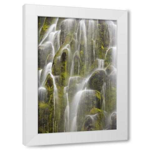 Oregon, Willamette NF View of Proxy Falls White Modern Wood Framed Art Print by Paulson, Don