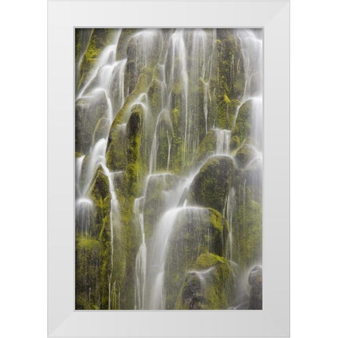 Oregon, Willamette NF View of Proxy Falls White Modern Wood Framed Art Print by Paulson, Don