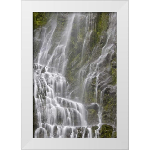 Oregon, Willamette NF View of Proxy Falls White Modern Wood Framed Art Print by Paulson, Don