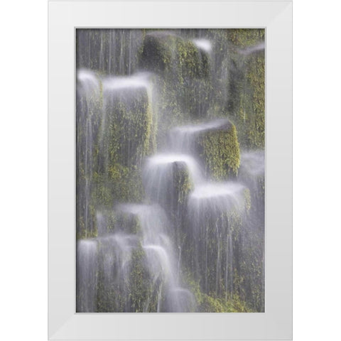 OR, Willamette NF Proxy Falls cascading water White Modern Wood Framed Art Print by Paulson, Don