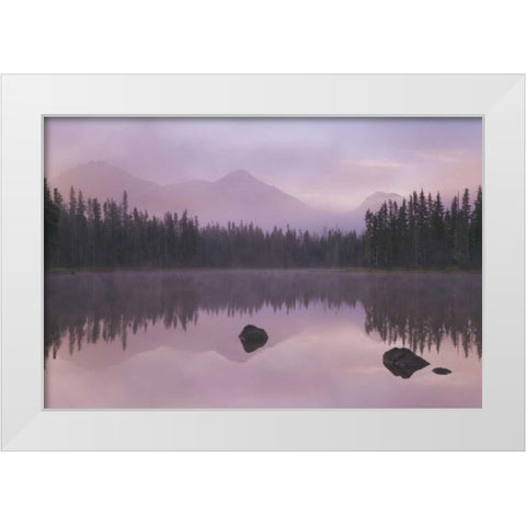 OR, Willamette NF Foggy sunrise on Scott Lake White Modern Wood Framed Art Print by Paulson, Don