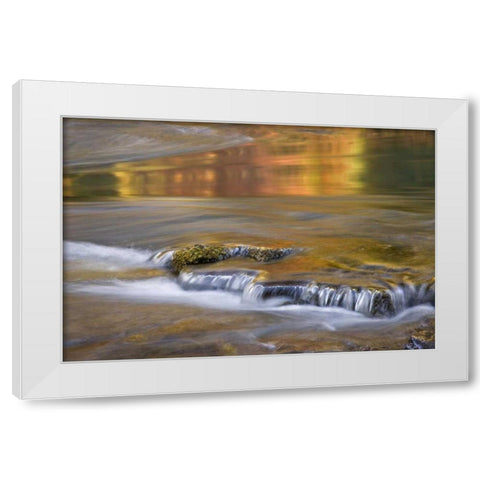 OR, Rogue River NF Autumn reflections White Modern Wood Framed Art Print by Paulson, Don