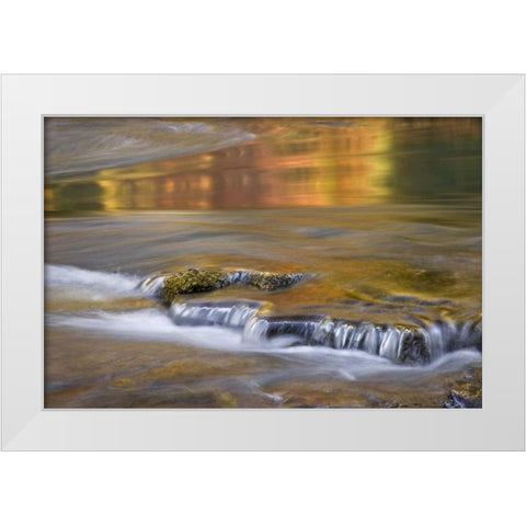 OR, Rogue River NF Autumn reflections White Modern Wood Framed Art Print by Paulson, Don