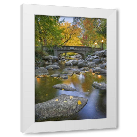 OR, Lithia Park Autumn reflects in Ashland Creek White Modern Wood Framed Art Print by Paulson, Don