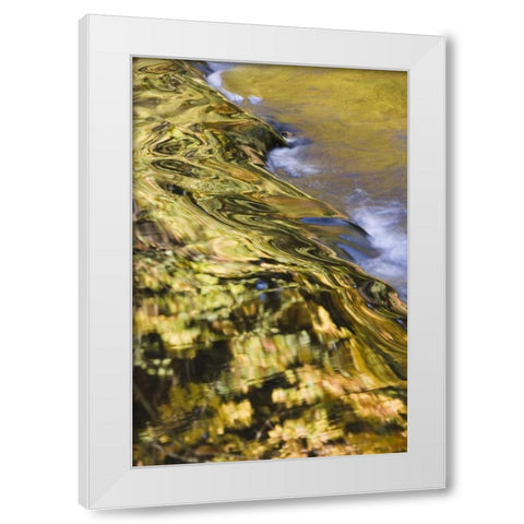 OR, Lake Creek Golden reflections on creek water White Modern Wood Framed Art Print by Paulson, Don