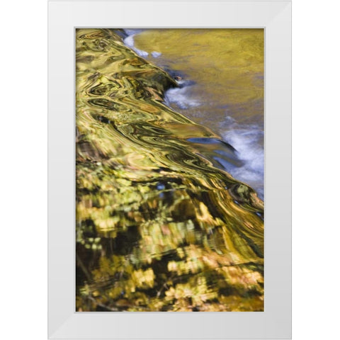 OR, Lake Creek Golden reflections on creek water White Modern Wood Framed Art Print by Paulson, Don