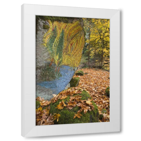 OR, Lake Creek Painted boulder and forest trail White Modern Wood Framed Art Print by Paulson, Don