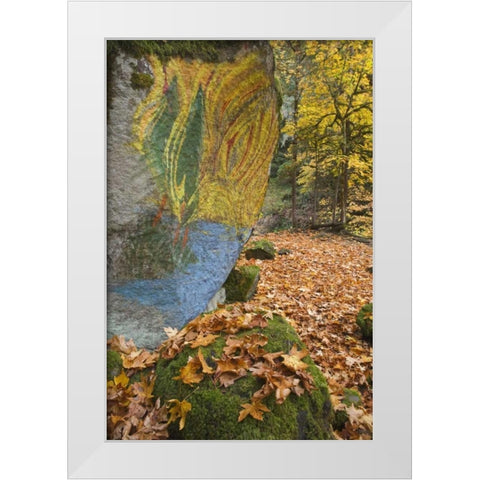 OR, Lake Creek Painted boulder and forest trail White Modern Wood Framed Art Print by Paulson, Don