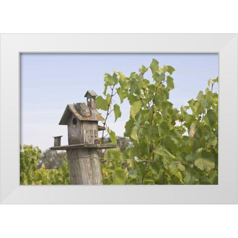 OR, Willamette Valley Birdhouse in vineyard White Modern Wood Framed Art Print by Paulson, Don